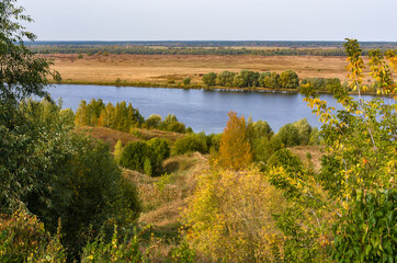 Autumn landscape with trees covered in golden leaves and a river. Typical Russian view.