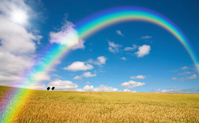 麦畑と木と雲と虹と太陽