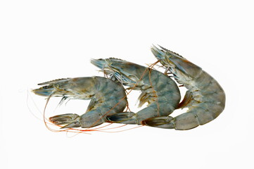 Shrimp from the market in Thailand.
Three sea prawns on a white background.