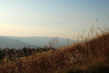 Fototapeta premium polskie góry, Bieszczady