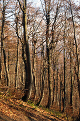 polskie g&oacute;ry, Bieszczady