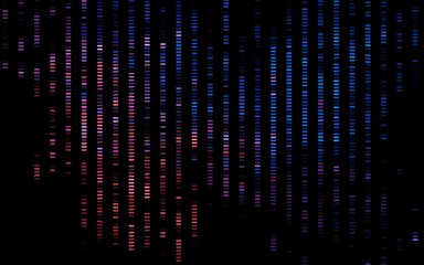 Dark Blue, Red vector texture with colored lines.