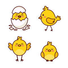 Little chicken illustration isolated background