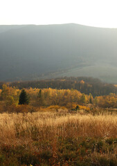 polskie g&oacute;ry, Bieszczady