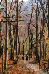 polskie g&oacute;ry, Bieszczady