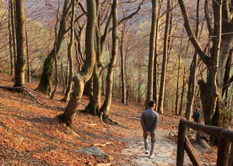 polskie góry, Bieszczady