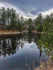 reflection of trees in water