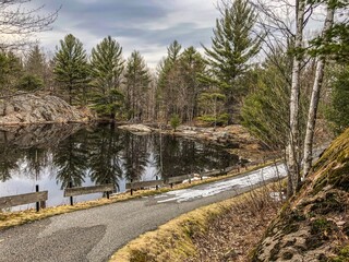 cart path by the pond