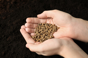 Woman holding pile of beet seeds over soil, closeup. Vegetable planting