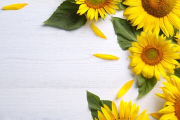 Beautiful bright sunflowers and petals on white wooden background, flat lay. Space for text