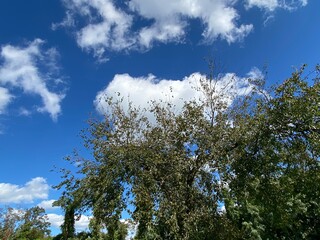 sky and clouds , landscape