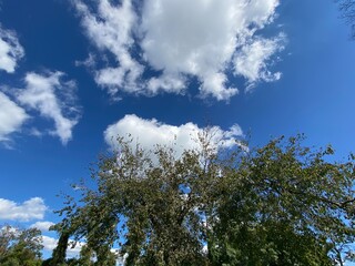 clouds and sky, trees