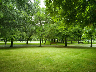 Parque verde urbano  con  distintas especies de árboles y bancos