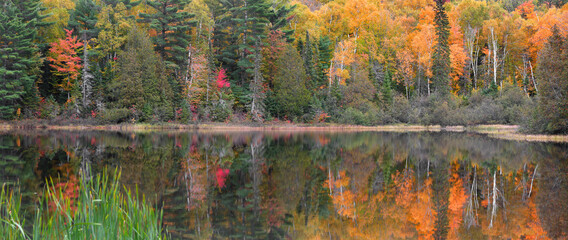 Panoramic view of  autumn tree reflections in Little Beaver lake in Pictured rocks national lake shore in Michigan upper peninsula.