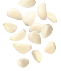 Many garlic cloves falling on white background