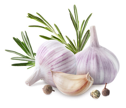 Fresh garlic with rosemary and spice on white background