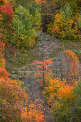 Aerial view of colorful autumn trees from Copper peak in Michigan upper peninsula