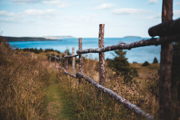 fence on a beach