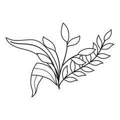 branch leaves organic botanical decoration isolated icon style line style icon