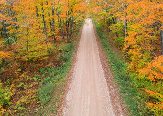 Fototapeta na wymiar Aerial view of forest road surrounded with fall foliage in Pictured rocks area in Michigan upper peninsula