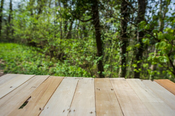 Springtime Table With Fresh And Green Leaves With Blurred Natural Forest Background