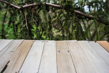 Springtime Table With Fresh And Green Leaves With Blurred Natural Forest Background