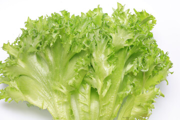 レタス