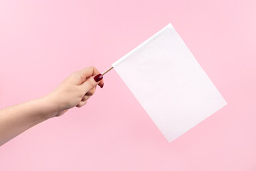 US elections, voting concept. Woman holding flag on a pink background.