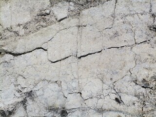 pared 