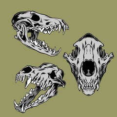 wolf skull illustration pack