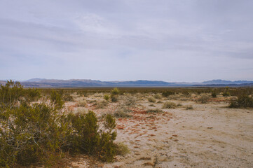 Joshua Tree National Park, California