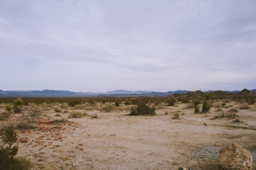 Joshua Tree National Park, California