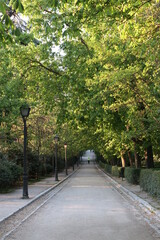 Just going for a run