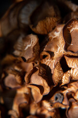 Mushroom Up Close 2