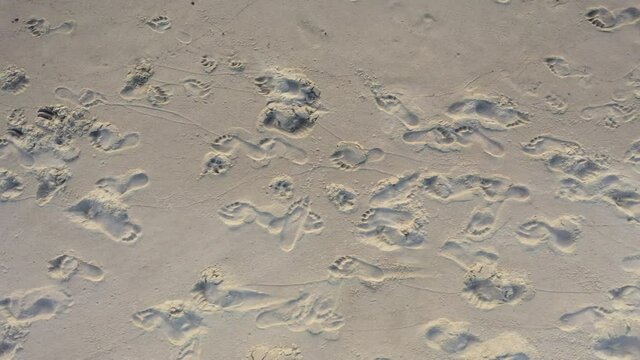 AERIAL: Top View Shot while Panning of Human Footprints in the Sand