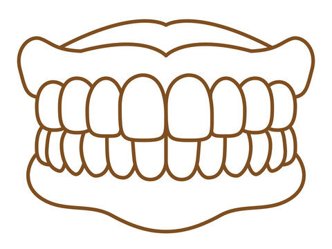 brown outline teeth on white background clip art preview