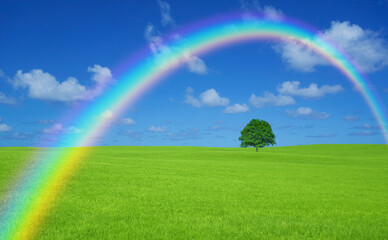 Naklejka premium 草原の一本木と雲と虹