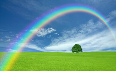Naklejka premium 草原の一本木と雲と虹
