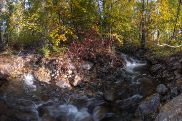 Autumn landscape on the Zunduk river