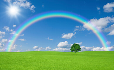 Naklejka premium 草原の一本木と雲と太陽と虹