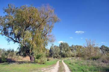 Fototapeta premium Natural landscape in Kiev Region at autumn