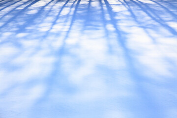 雪原の影