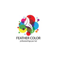 Feather logo design template vector illustration
