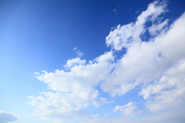 Naklejka na ściany i meble 青空の雲