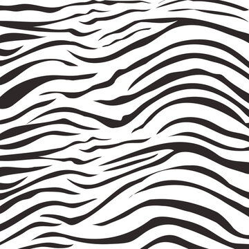 animal skin print pattern, zebra fur wild jungle design