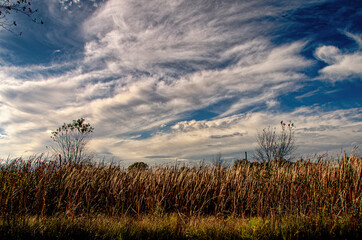roadside skies 