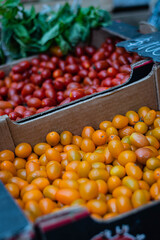 cajon de tomates cherry amarillo y rojo en verduleria cordoba argentina