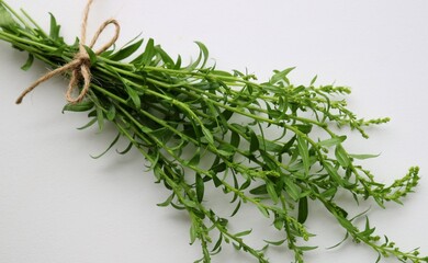 野原のブーケ　癒しの秋の日　白バック