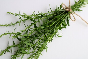 野原のブーケ　癒しの秋の日　白バック