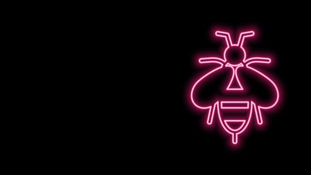 Glowing neon line Bee icon isolated on black background. Sweet natural food. Honeybee or apis with wings symbol. Flying insect. 4K Video motion graphic animation
